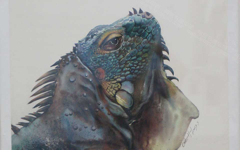 湖北美院毕业展作品539高清