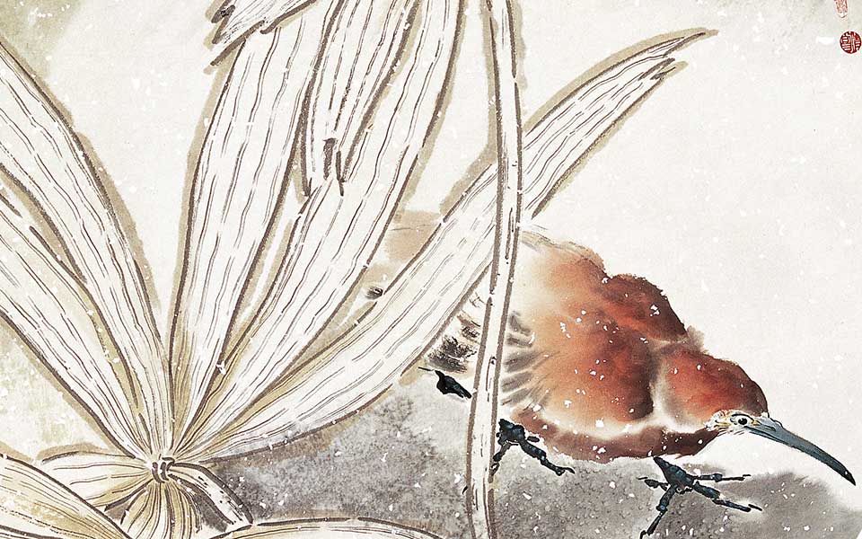 花鸟作品62高清