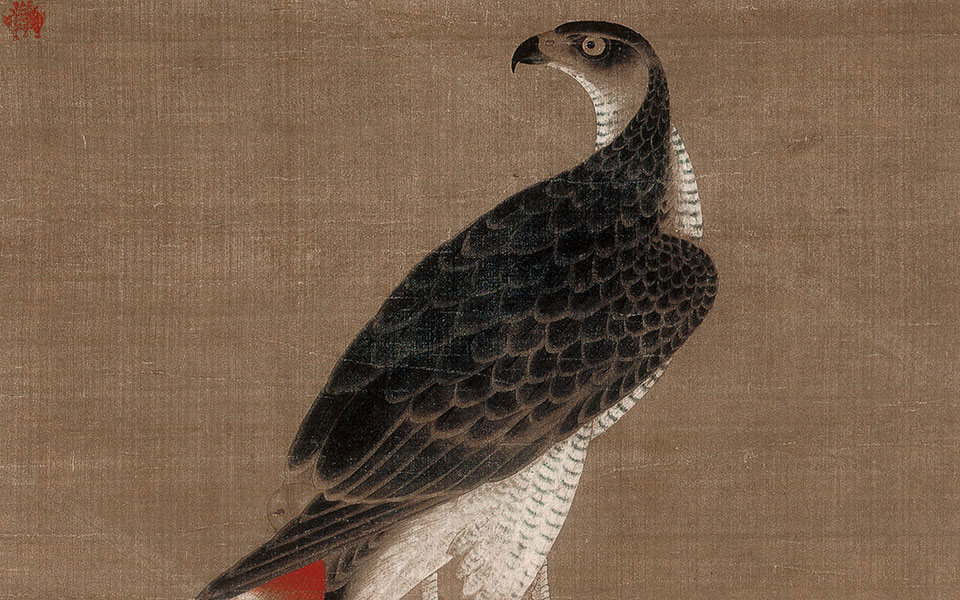 架上鹰图高清_徐泽架上鹰图高清_架上鹰图徐泽高清_徐泽_元代_51.99X78.66cm