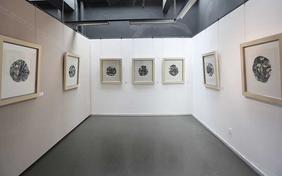 2013天津美院毕业展版画作品057高清