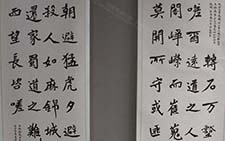 2013天津美院毕业展书法作品110高清