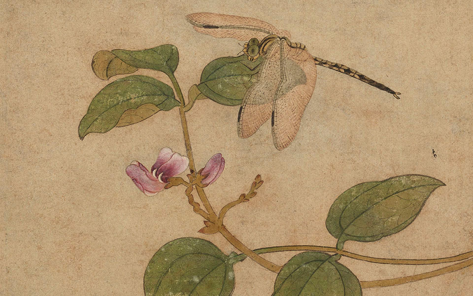 蜻蜓图高清_王渊蜻蜓图高清_蜻蜓图王渊高清_王渊_元代_22.7×25.2cm