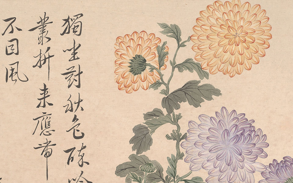 牡丹册高清_恽寿平牡丹册高清_牡丹册恽寿平高清_恽寿平_清代_30.2x20