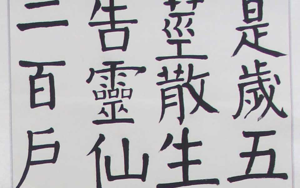 2013天津美院毕业展书法作品063高清