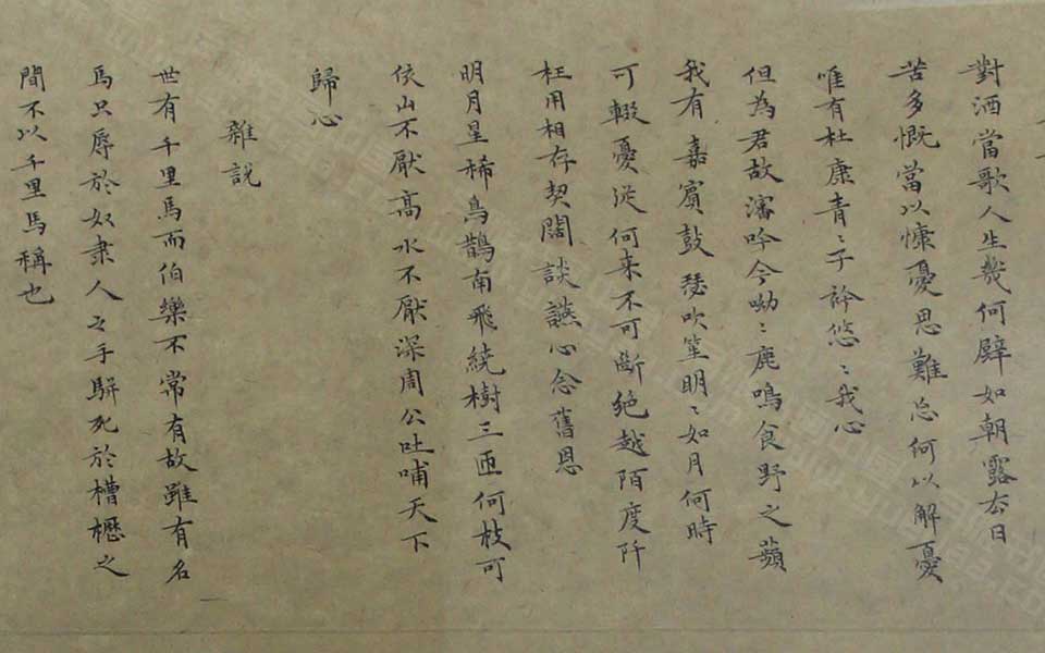 2013天津美院毕业展书法作品高清