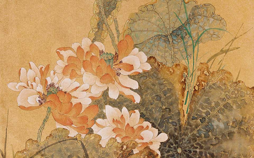 黄明珠高清