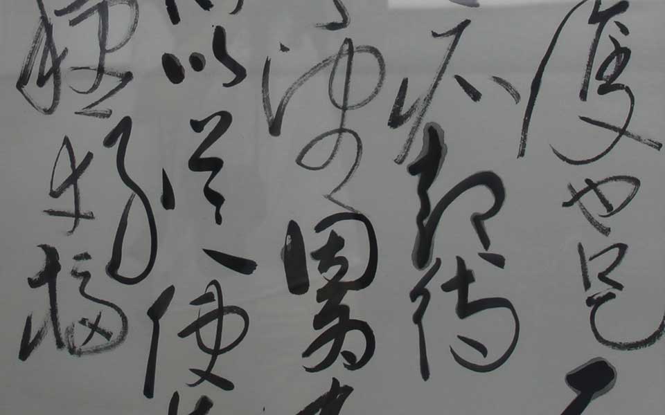 2013天津美院毕业展书法作品172高清