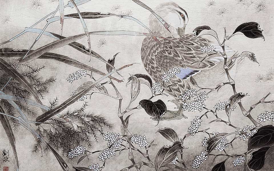 刘欣高清