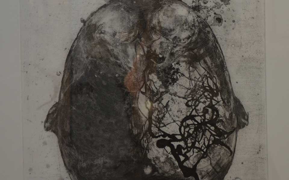 2013中国美院毕业展版画作品高清