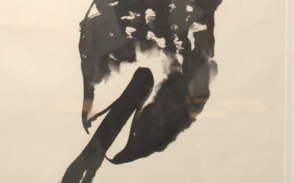2013天津美院毕业展国画作品244高清