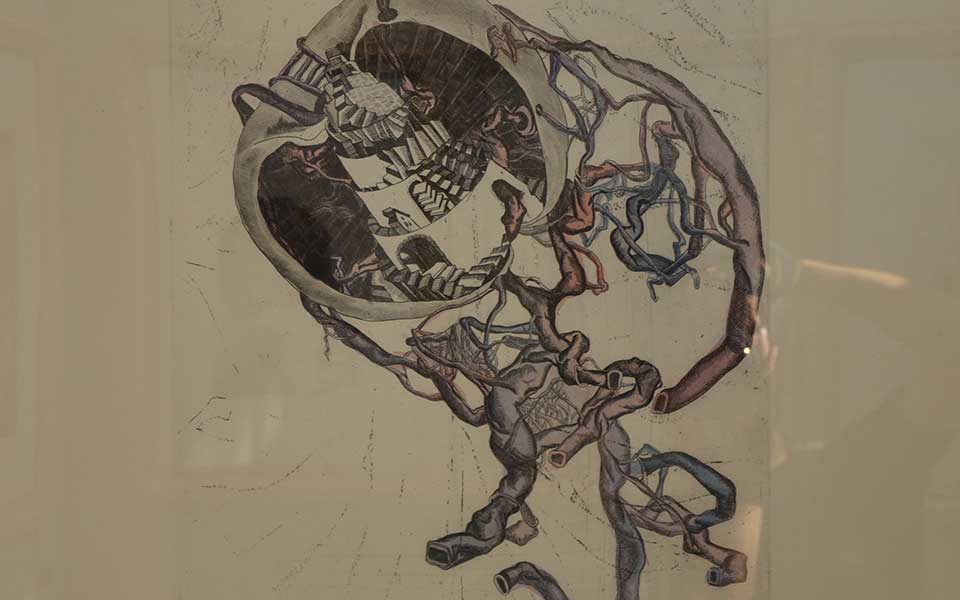 2013中国美院毕业展版画作品高清