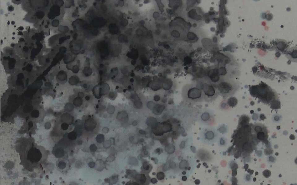 2013天津美院毕业展国画作品233高清