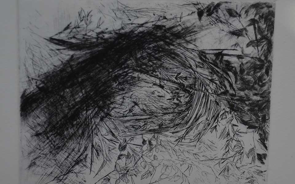 2013中国美院毕业展版画作品高清