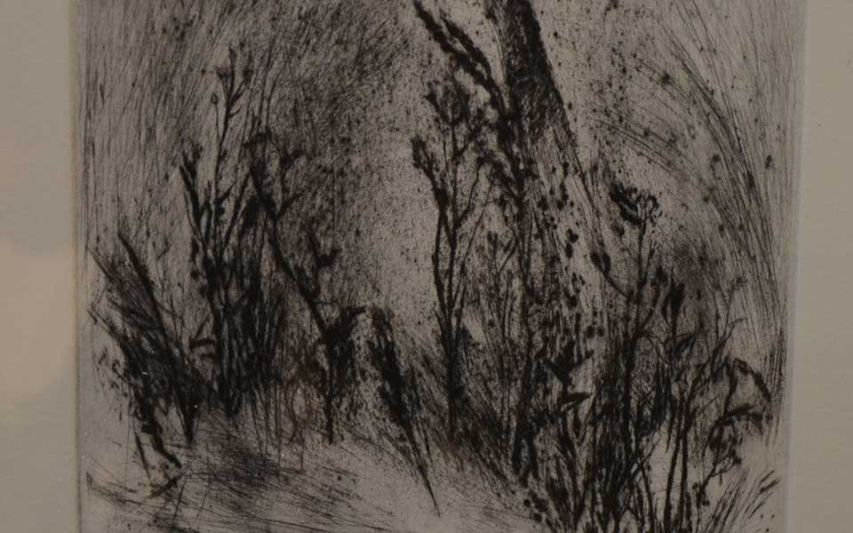 2013中国美院毕业展版画作品高清