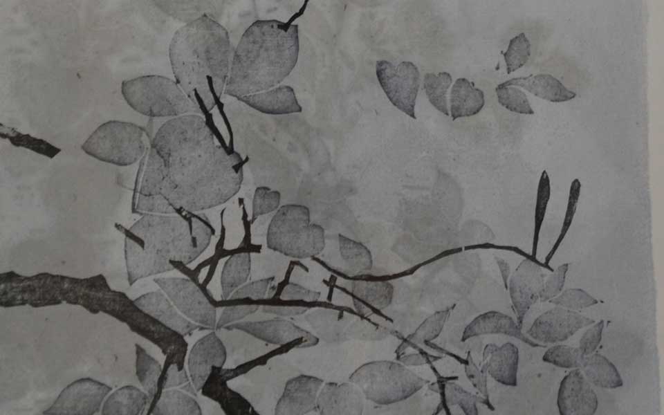2013中国美院毕业展版画作品高清