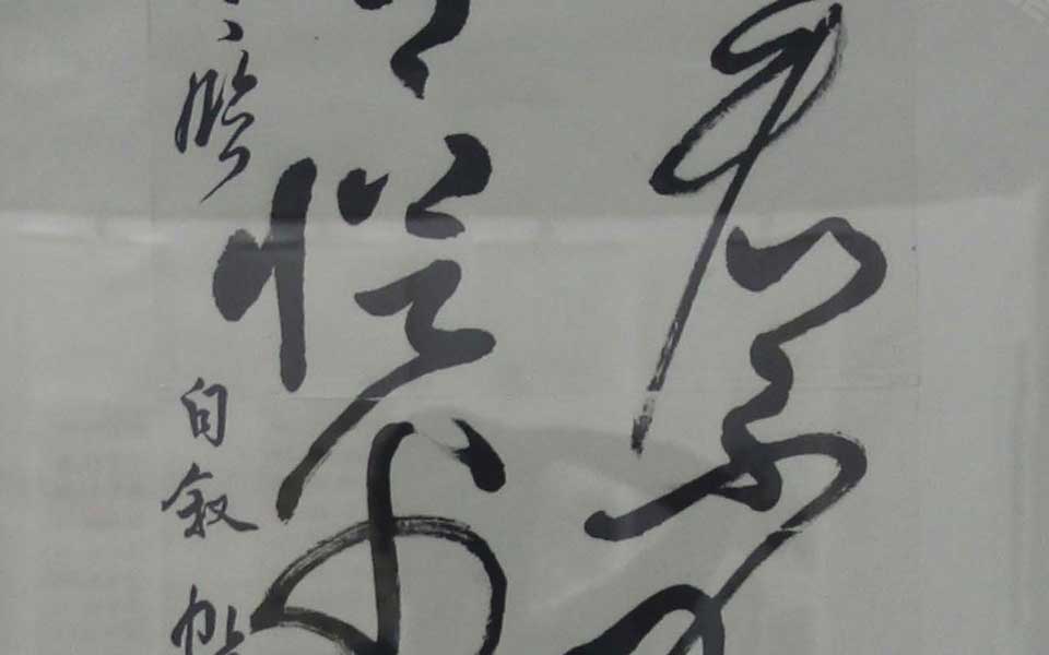 2013天津美院毕业展书法作品107高清