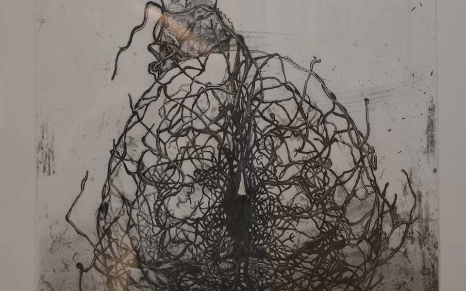2013中国美院毕业展版画作品高清