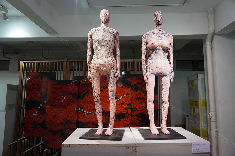 湖北美院毕业展作品17高清
