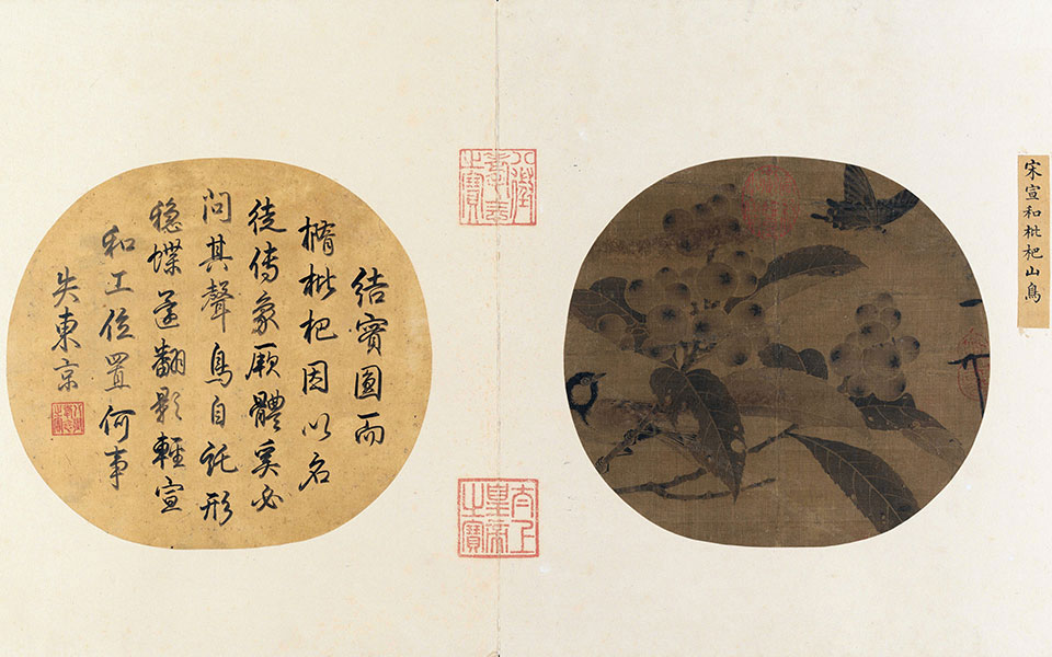 枇杷山鸟图页高清_赵佶枇杷山鸟图页高清_枇杷山鸟图页赵佶高清_赵佶_宋代_22.6X24.5