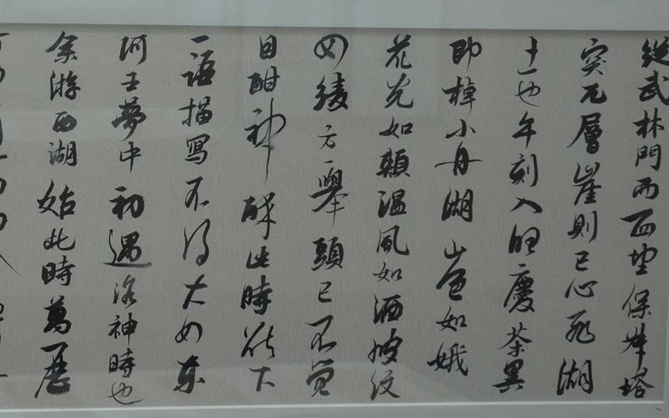 2013中国美院毕业展书法作品高清