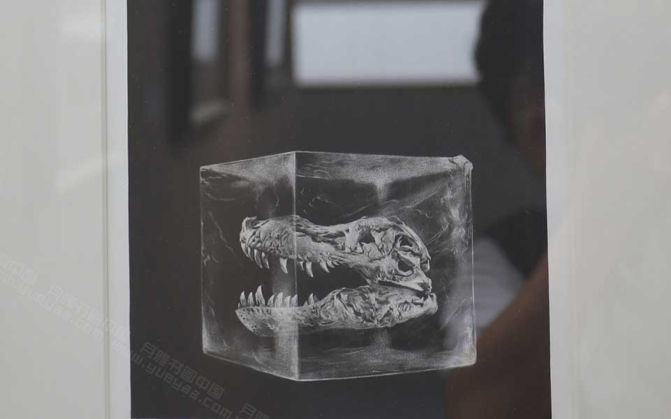 2013天津美院毕业展版画作品049高清
