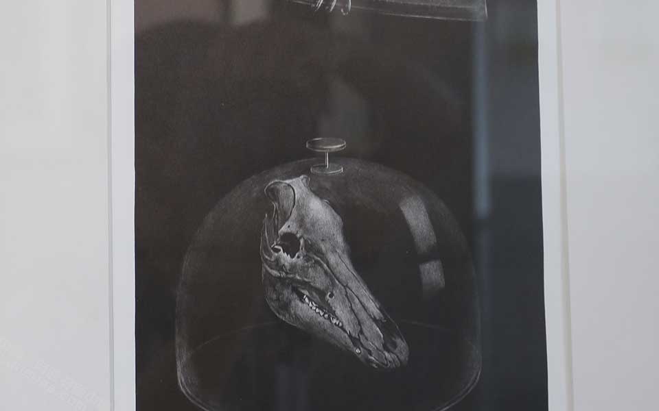 2013天津美院毕业展版画作品056高清