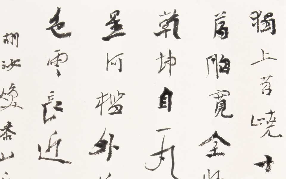 书法作品 胡汝焕泰山诗高清