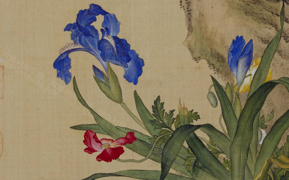 花鸟图册高清_郎世宁花鸟图册高清_花鸟图册郎世宁高清_郎世宁_清代