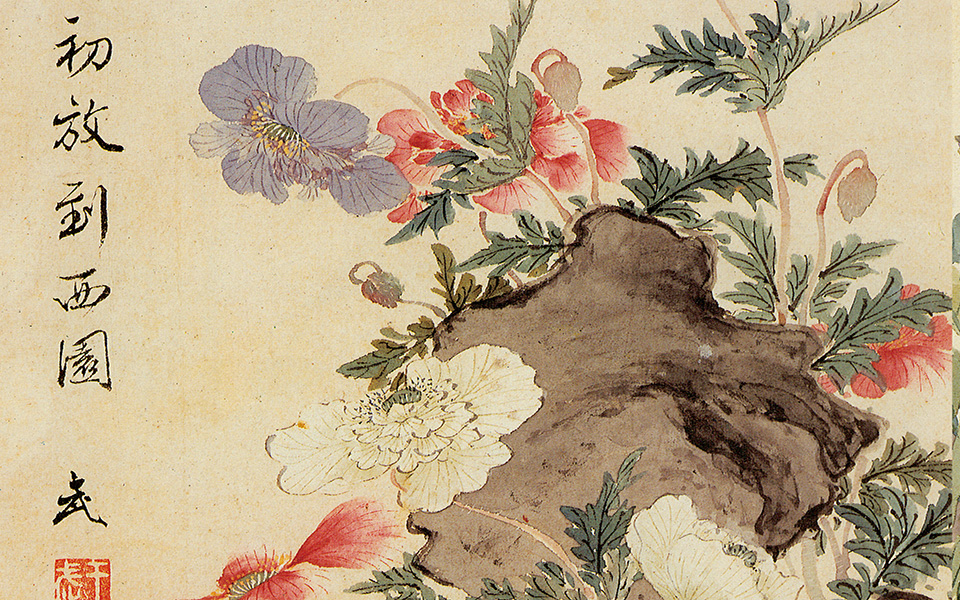 花卉册高清_王武花卉册高清_花卉册王武高清_王武_清代