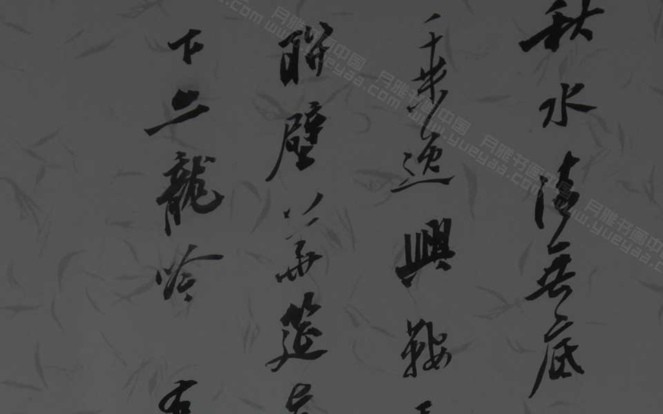 2013天津美院毕业展书法作品193高清