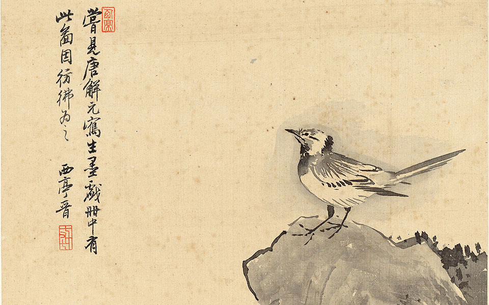 花鸟十二开11高清_杨晋花鸟十二开11高清_花鸟十二开11杨晋高清_杨晋_清代
