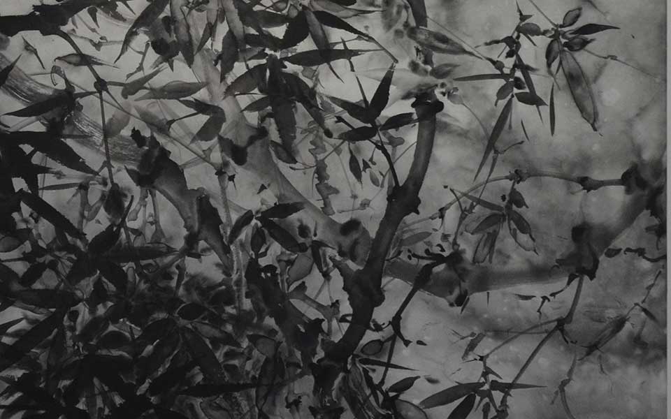 2013中国美院毕业展国画作品高清
