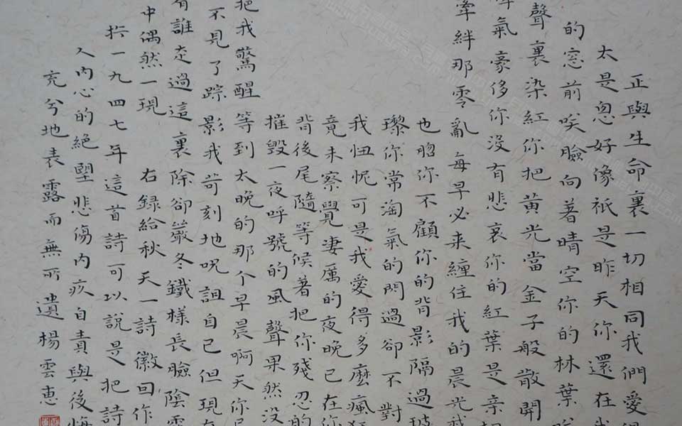 湖北美院毕业展作品55高清
