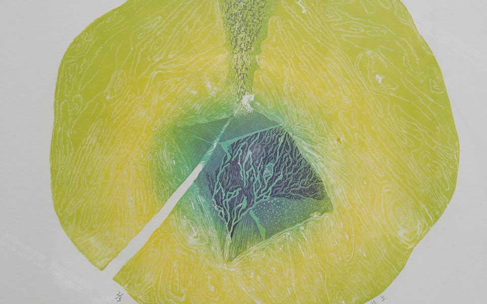 2013天津美院毕业展版画作品041高清