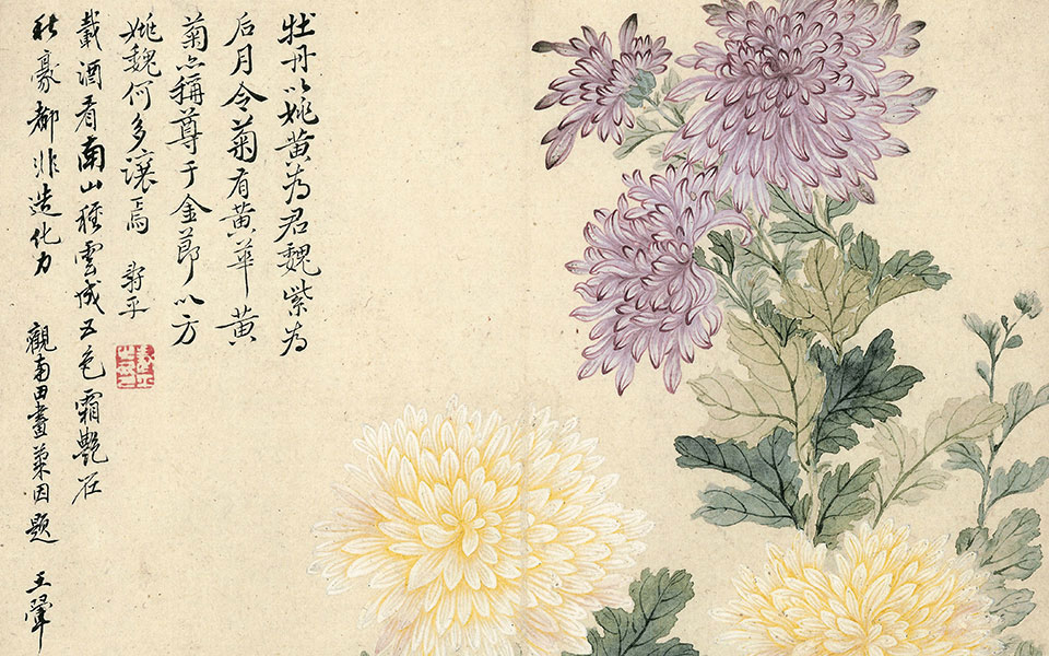 瓯香馆写生册菊花高清_恽寿平瓯香馆写生册菊花高清_瓯香馆写生册菊花恽寿平高清_恽寿平_清代