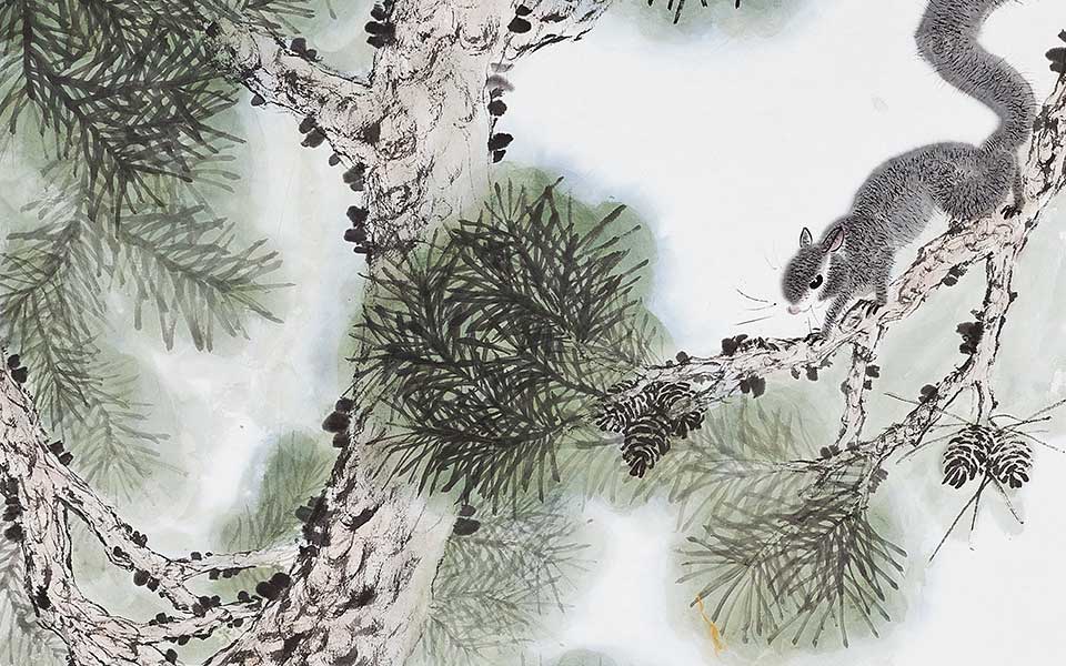 张德娜高清