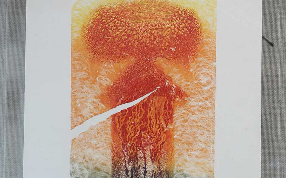 2013天津美院毕业展版画作品039高清