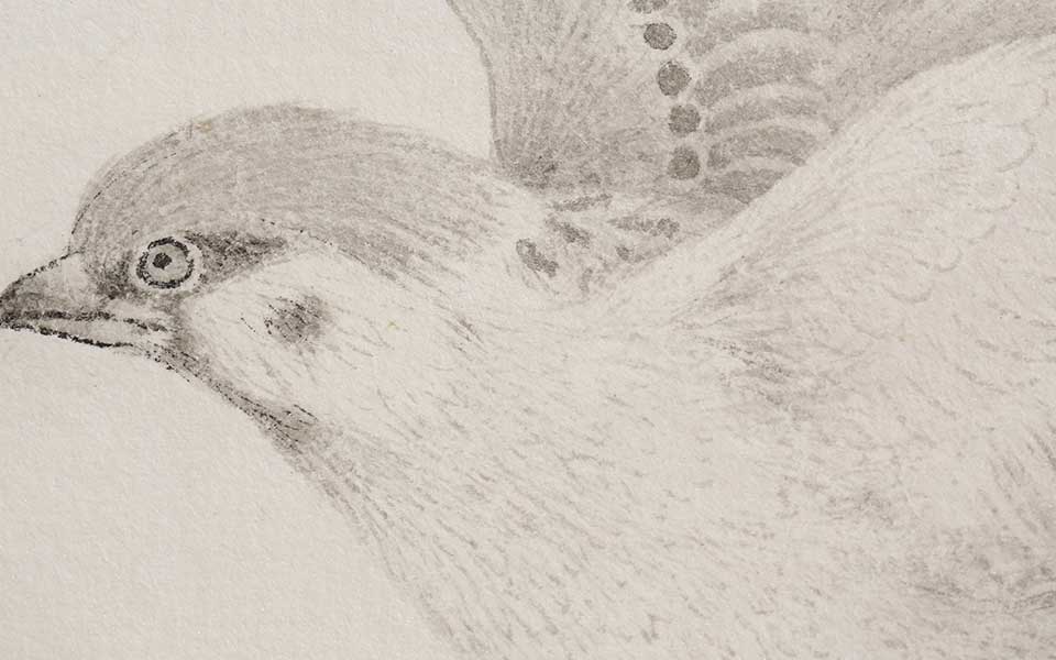 2013天津美院毕业展国画作品（局部展示）056高清