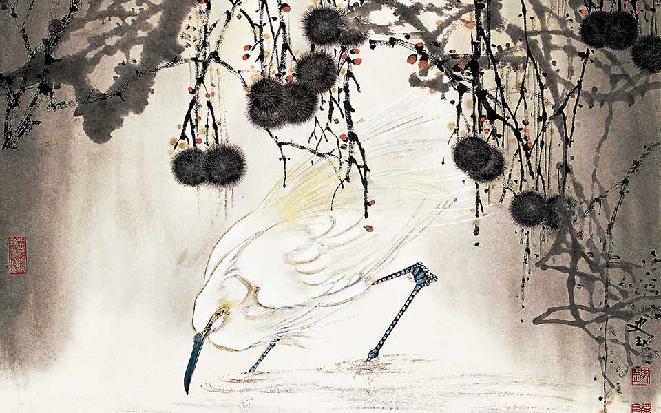 花鸟作品68高清