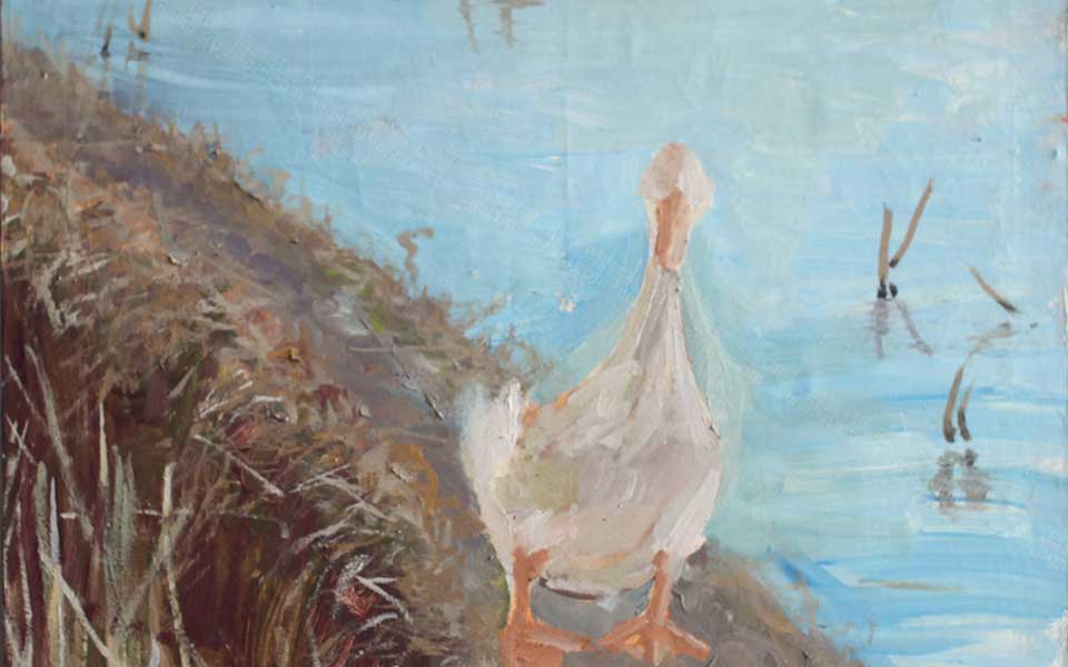 2013哈尔滨师范美术学院毕业展高清