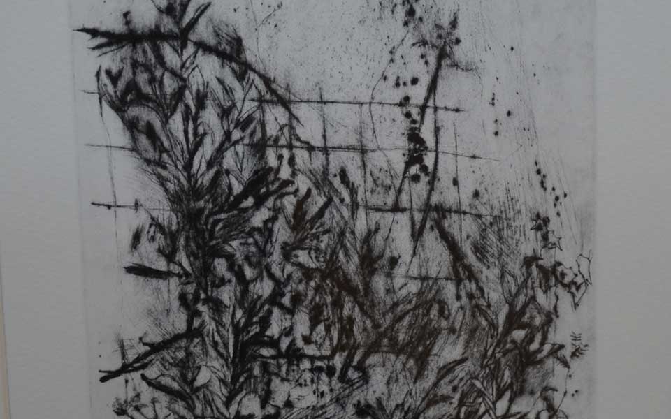 2013中国美院毕业展版画作品高清