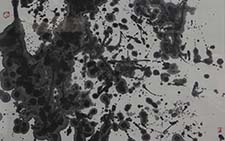 2013天津美院毕业展国画作品232高清