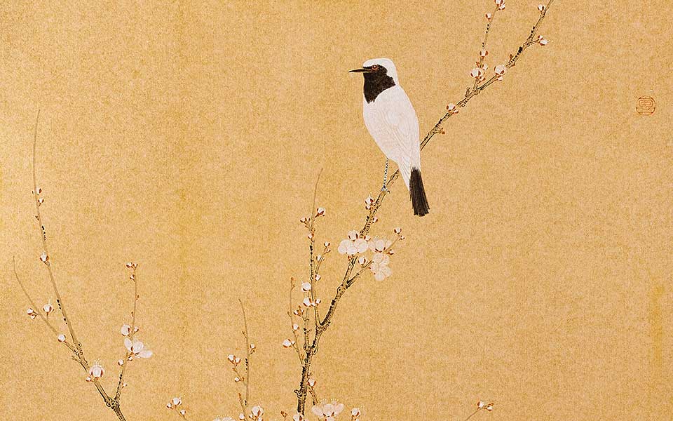 董玉山高清