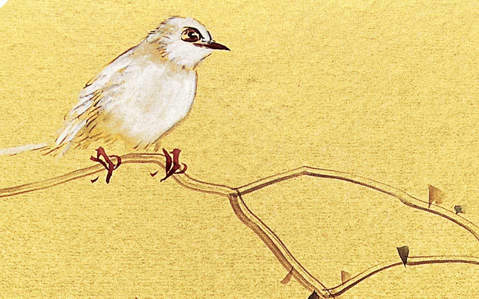 花鸟作品18 高学年 当代高清