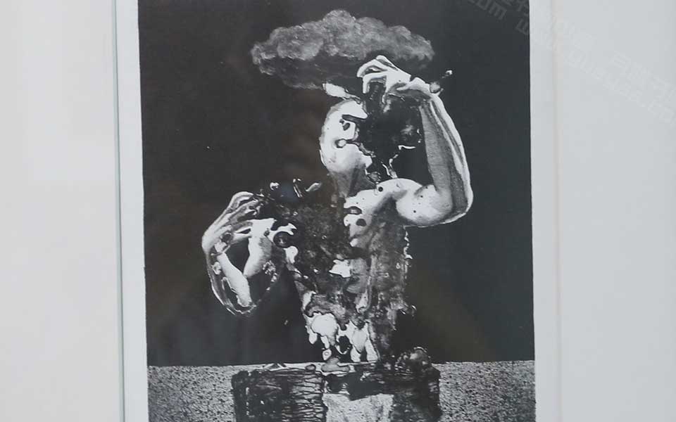 2013天津美院毕业展版画作品高清