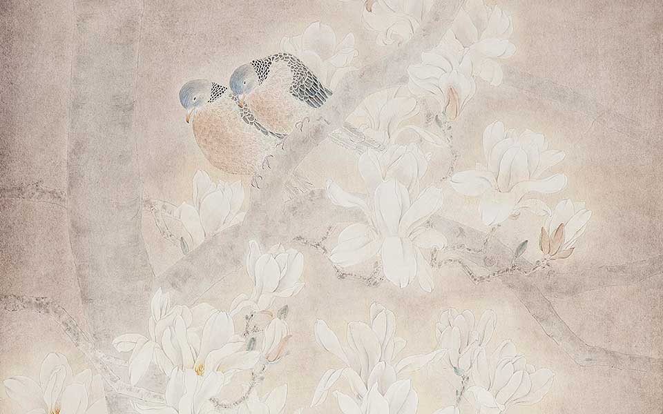 胡健高清