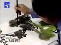 书画视频-跟徐湛学国画第11集葫芦的画法