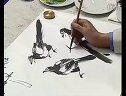 书画视频-跟徐湛老师学国画第61集喜鹊的画法